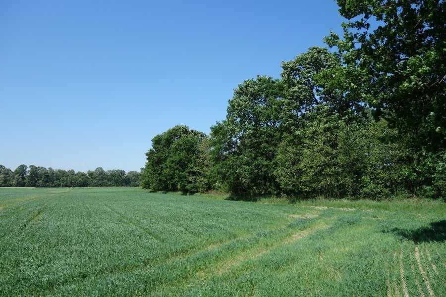 Skoczów Ochaby 57ar pod kamping altanke strzelnice może być pod staw