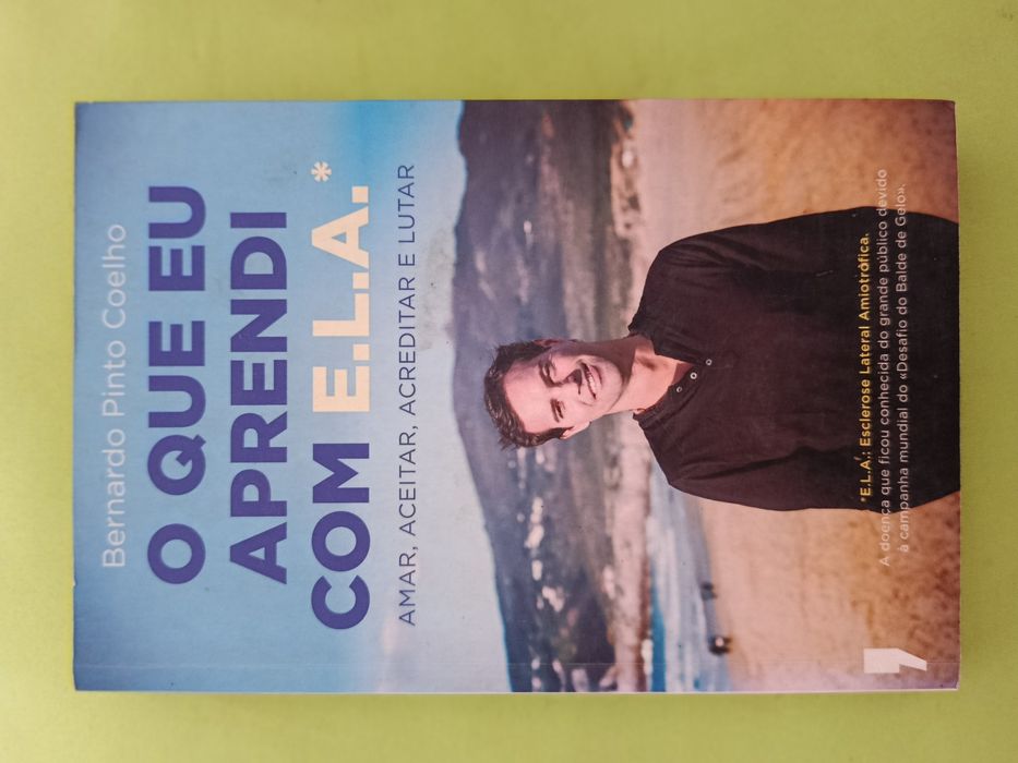 Lote dourado de 8 LIVROS ( IV )