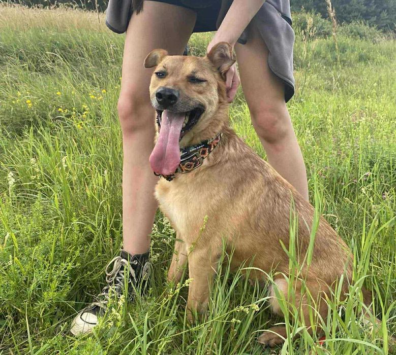 Przyjaciel całego świata - Biszkopt