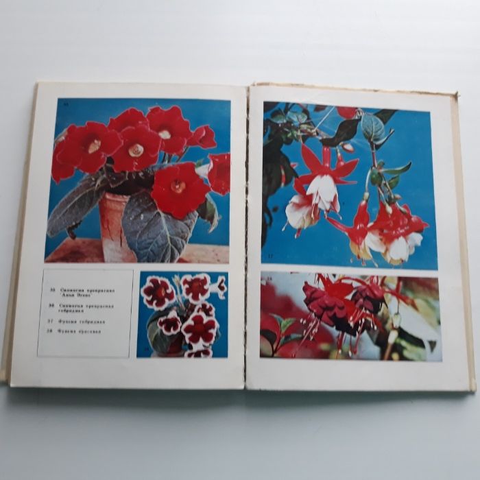 Лекарственные растения и комнатное цветоводство 2 книги