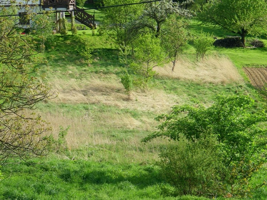 Atrakcyjnie położona działka na sprzedaż-KLESZCZÓW