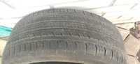 Резина , шина всесезонная  . Continental ProContact TX 215/55 R17 94 H