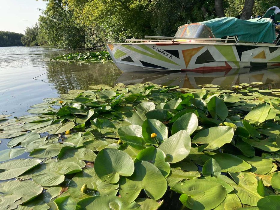 лодка Прогресс с мотором Johnson 40