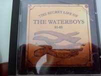 The Waterboys