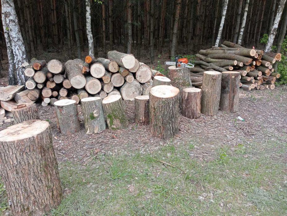 Sprzedam drewno opałowe i kominkowe oraz inne usługi.