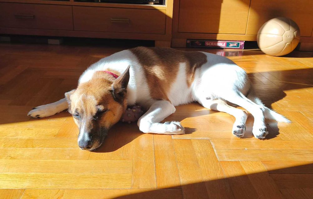 Bari po 2 latach traci DOM