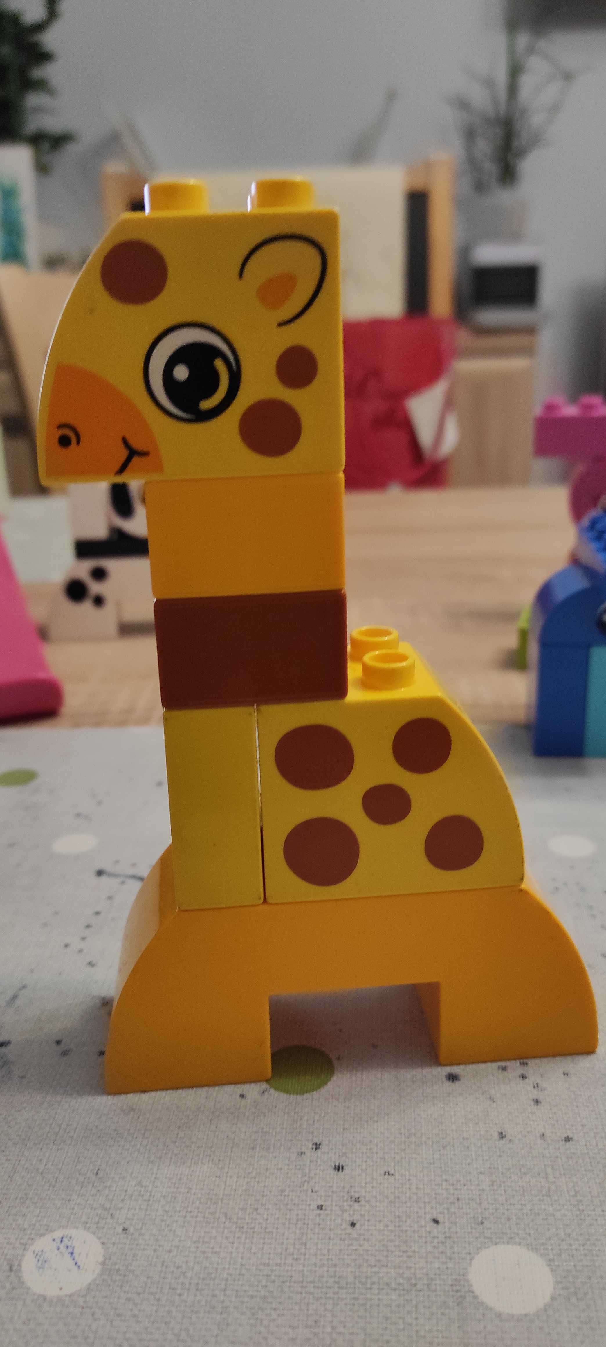Zwierzątka Lego Duplo 10573