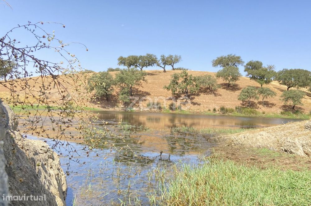 Herdade em Alentejo Beja Portugal