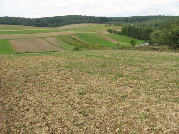 Działka budowlana w Sobiesękach