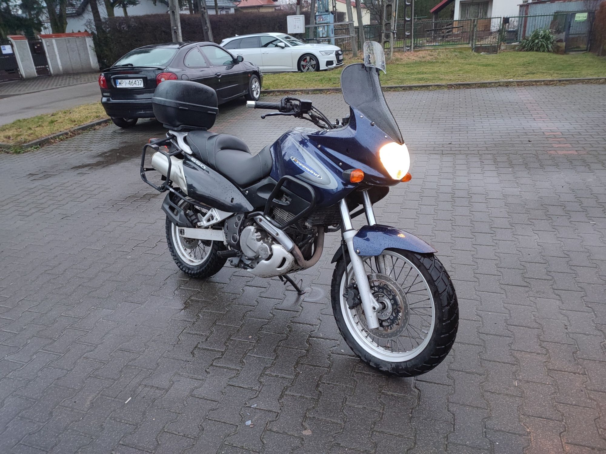 suzuki xf 650 freewind