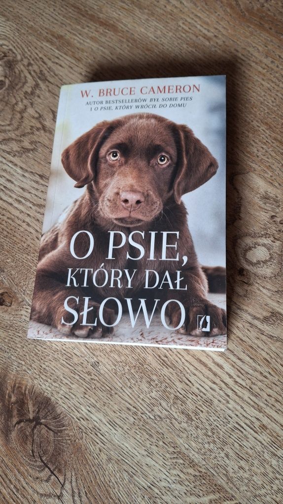 Książka "o psie który dał słowo"