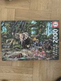 Puzzle Educa 2000