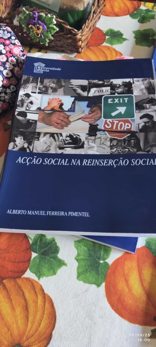 Ação Social na Reinserção Social