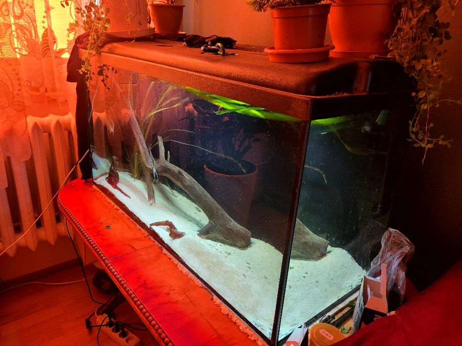 Zestaw akwarium 200l