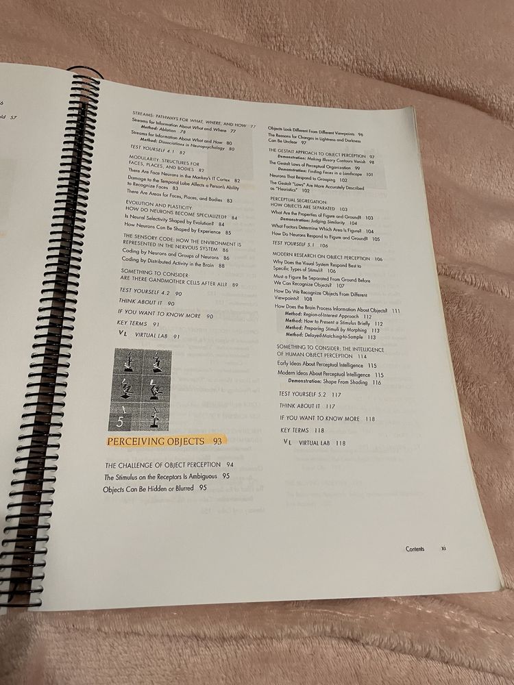 Livro de Psicologia da Perceção: Sensation and Perception