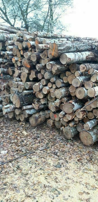 drewno kominkowe Chrzanów