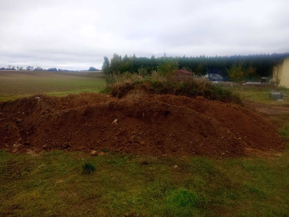 Ziemia - oddam za  darmo