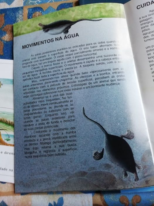 O porquê de conservar e a toupeira