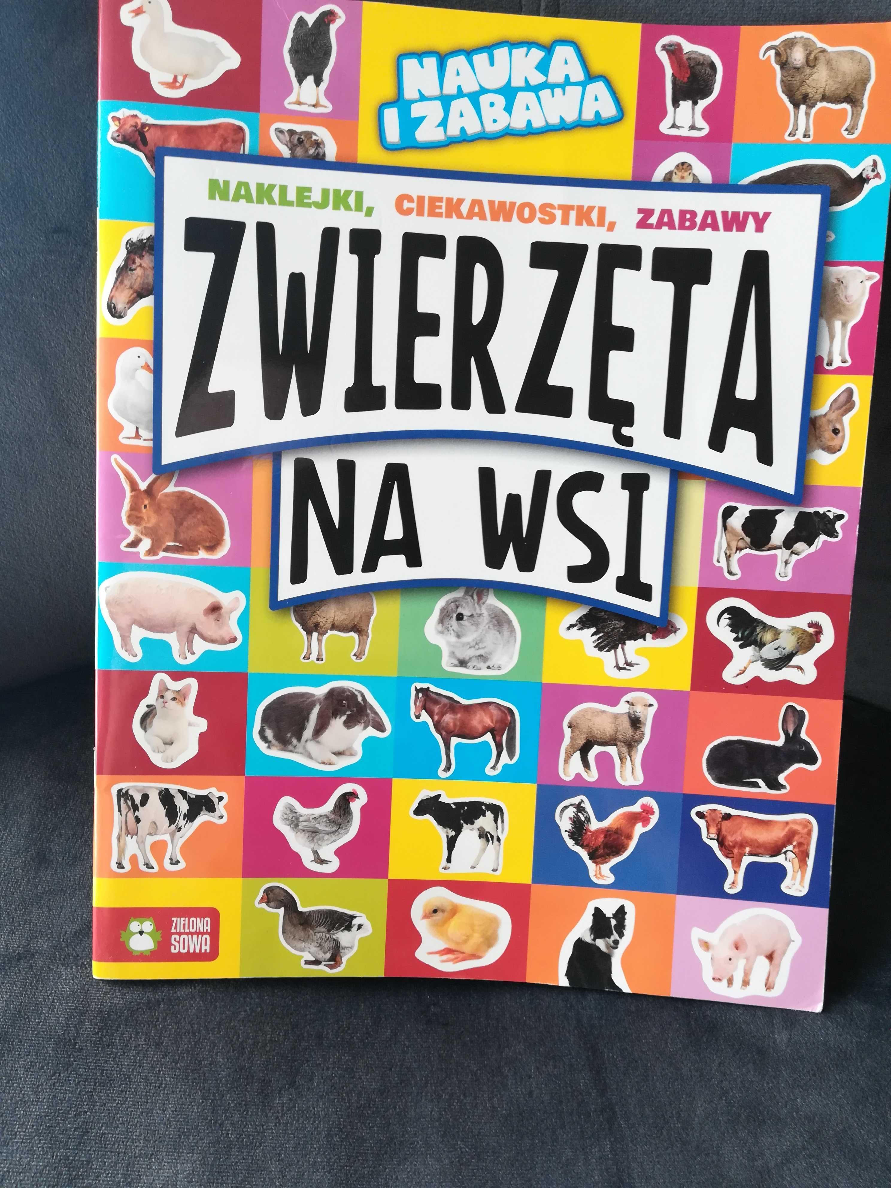 Książka dla dzieci Zwierzęta na wsi