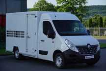 Renault MASTER / DO ŻYWCA / DO PRZEWOZU ZWIERZĄT / 2016 ROK / SPROWADZONY