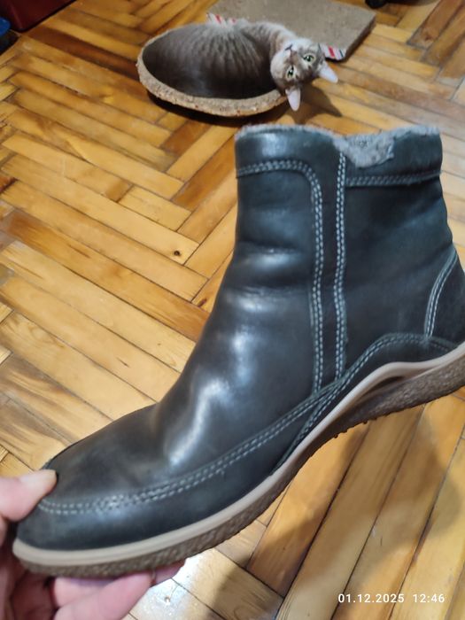 Полусапожки ЭККО