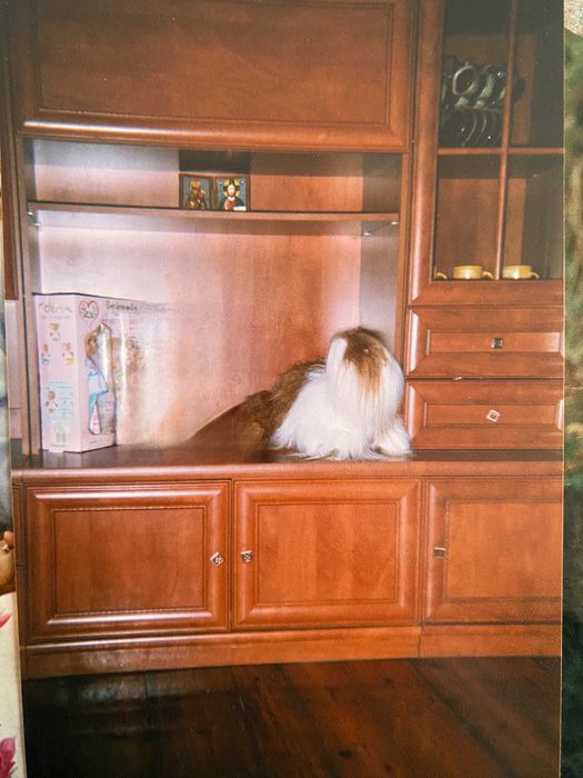 Меблі.Стінка.