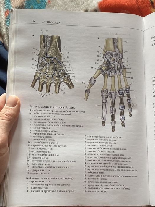Анатомія людини Кривка/Черкасова