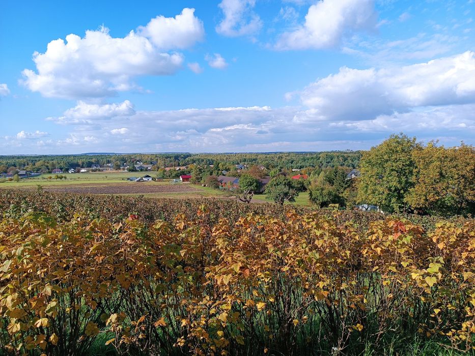 Działka budowlana/rekreacyjna