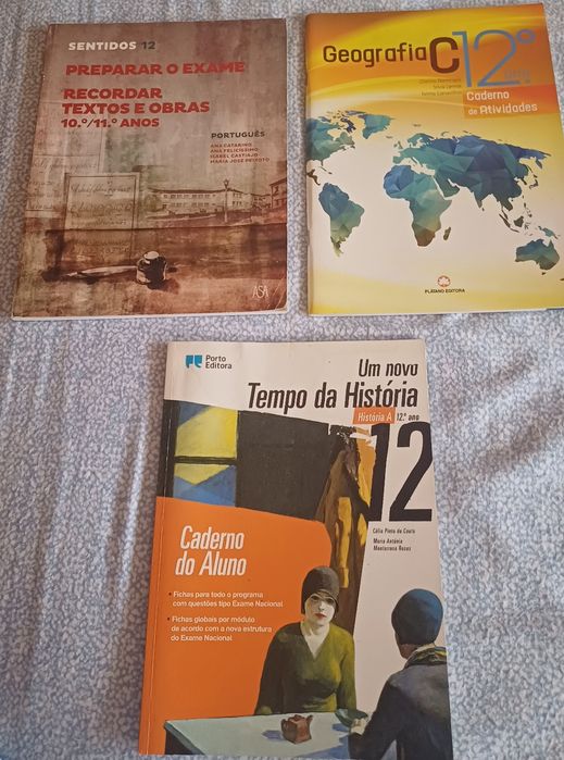 Cadernos de atividades 12° ano