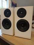 Monitory DIY scan speak-seas