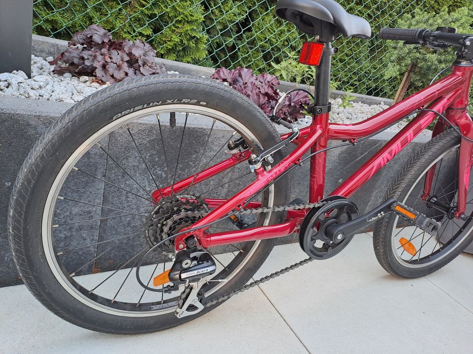 Lekki rower Amulet Tomcat 20 cali