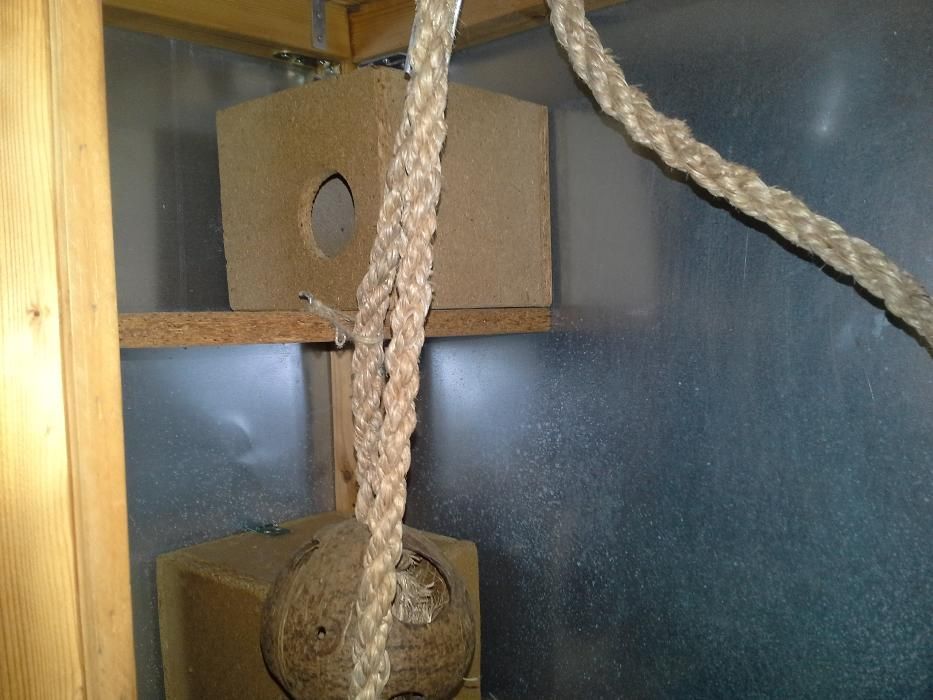 Gaiola para Esquilos