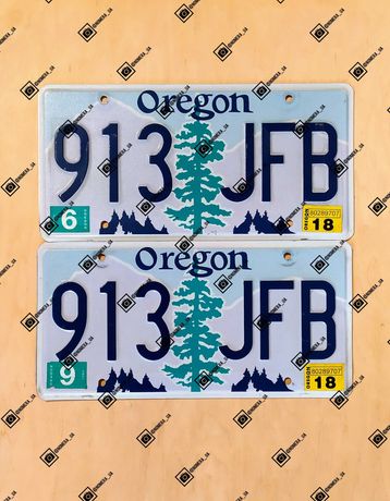 Oregon Парные американские номерные знаки США авто номера