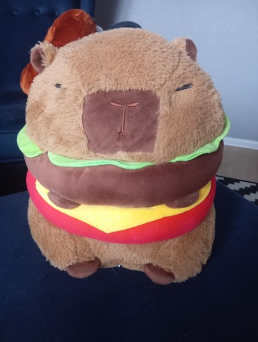 Sprzedam kapibara Capibara