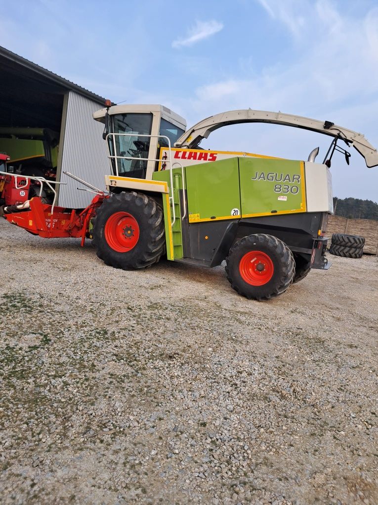 Sieczkarnia Claas Jaguar 830
