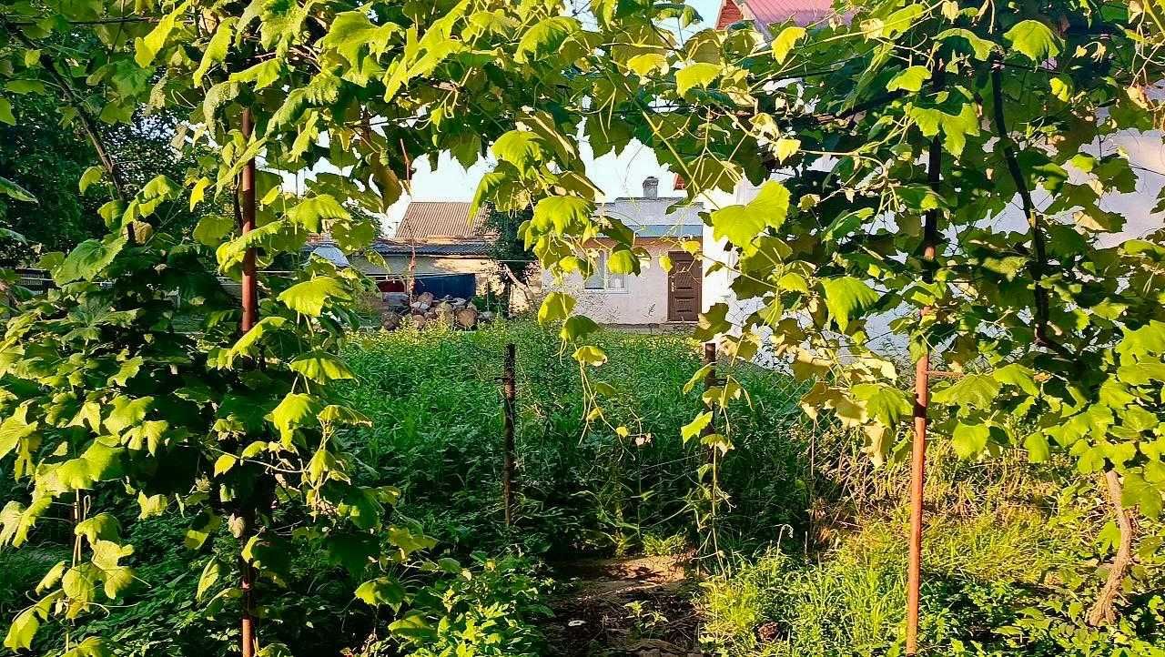 Оренда (3500 грн комунальні включено) кімната Чернівці.