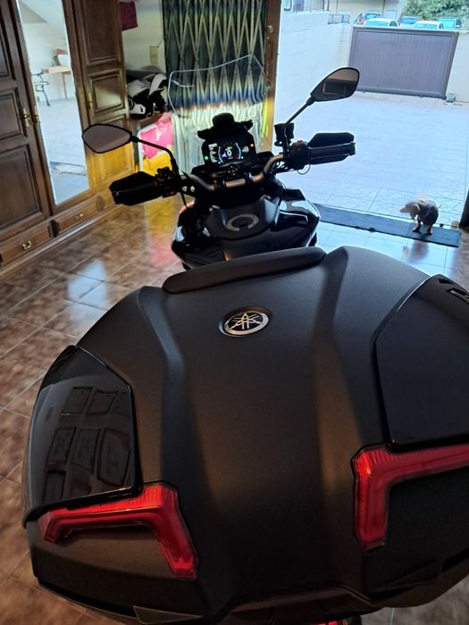 Tracer 9 Março 2025