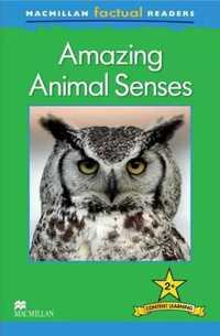 Factual: Amazing Animal Sense 2+ - Claire Llewellyn