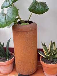 2  Vasos em chapa ferro com 80 cm, planta boina basca e de 60