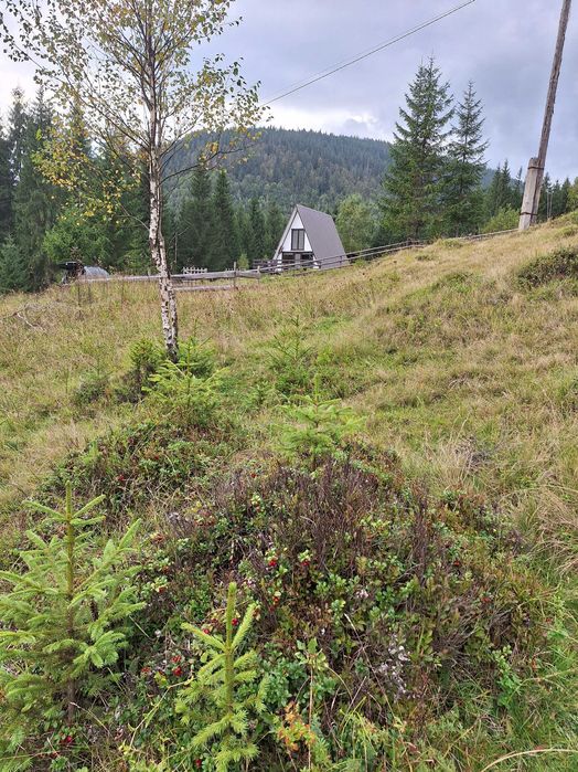 Житло в Карпатах. ' Ніч в Карпатах'