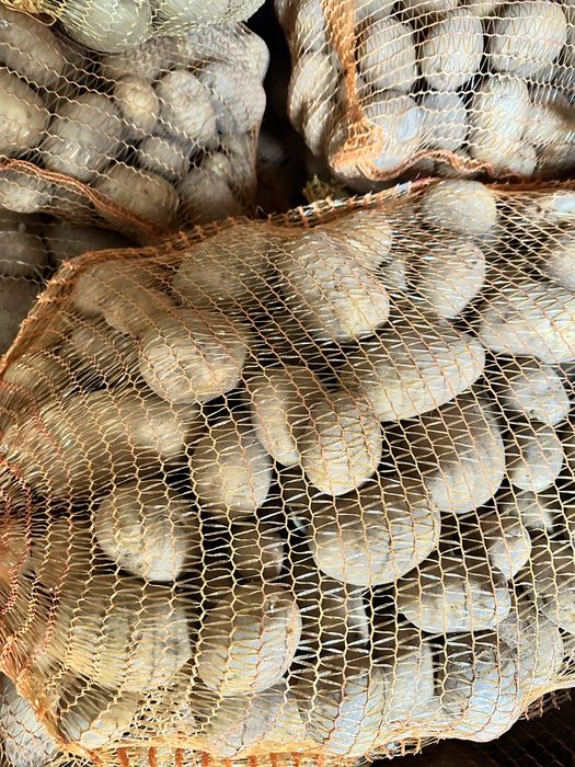 Ziemniaki z własnej działki