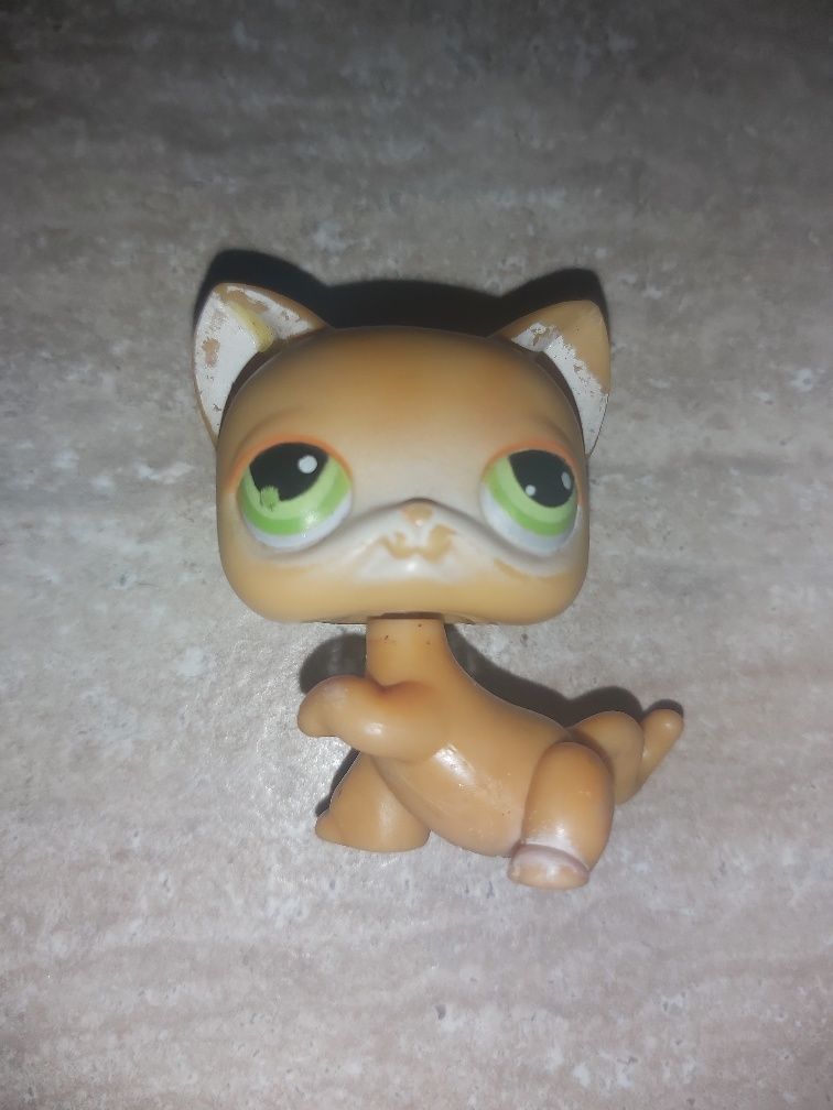 Littlest Pet Shop kotek