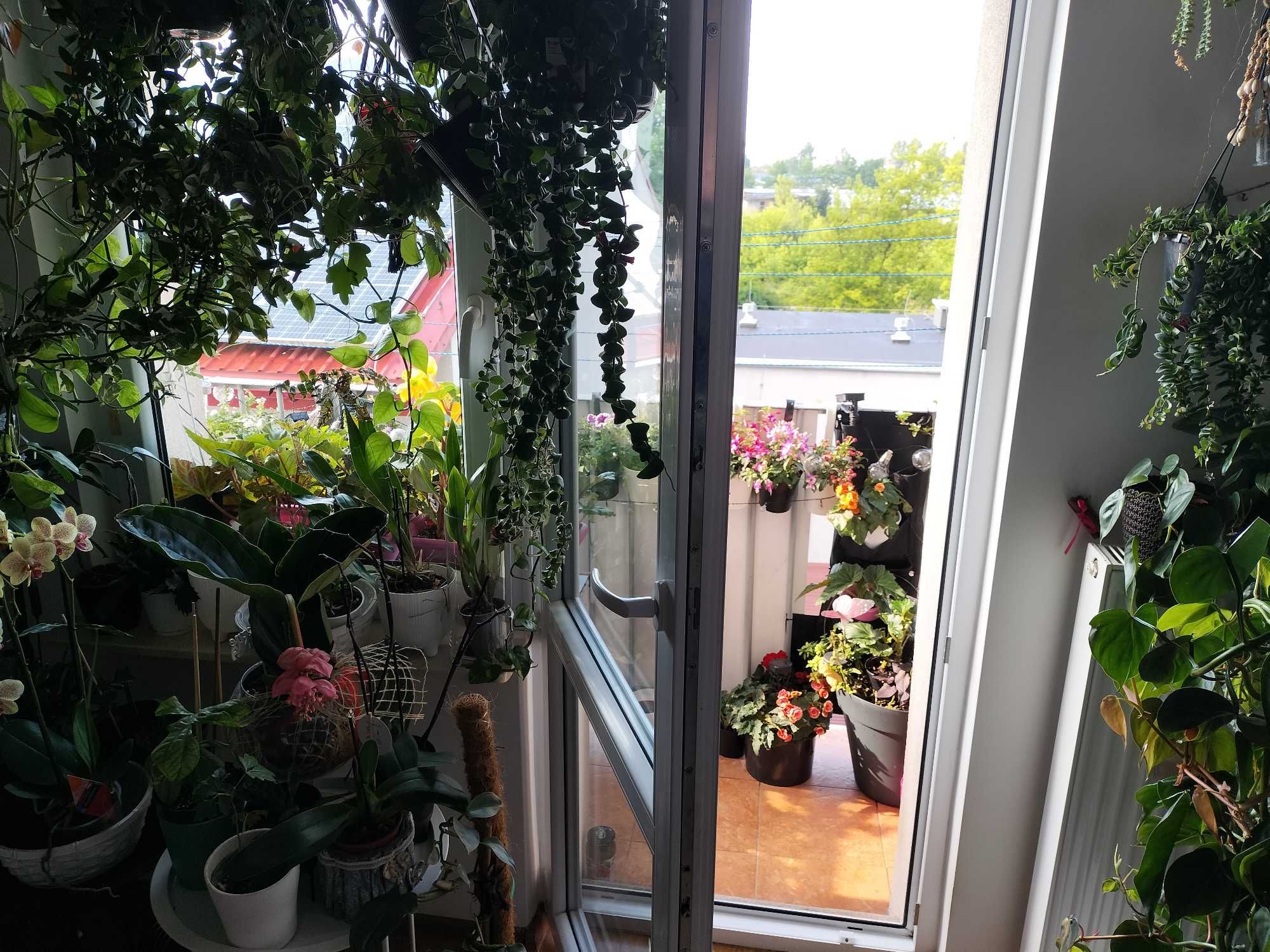 2-pokojowe mieszkanie 46,25 m² z 2 balkonami + garaż + piwnica
