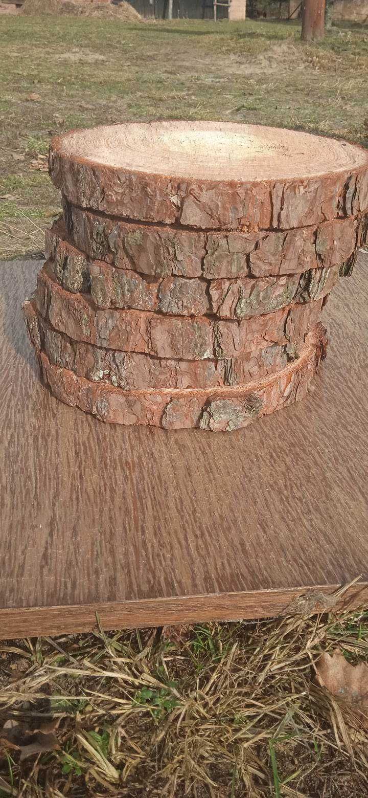 Drewniane plastry, zestaw 20 sztuk , średnica 20-25cm ,na stroiki