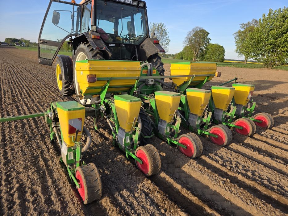 Siewnik do kukurydzy SFoggia 6 rzędowy accord monosem becer