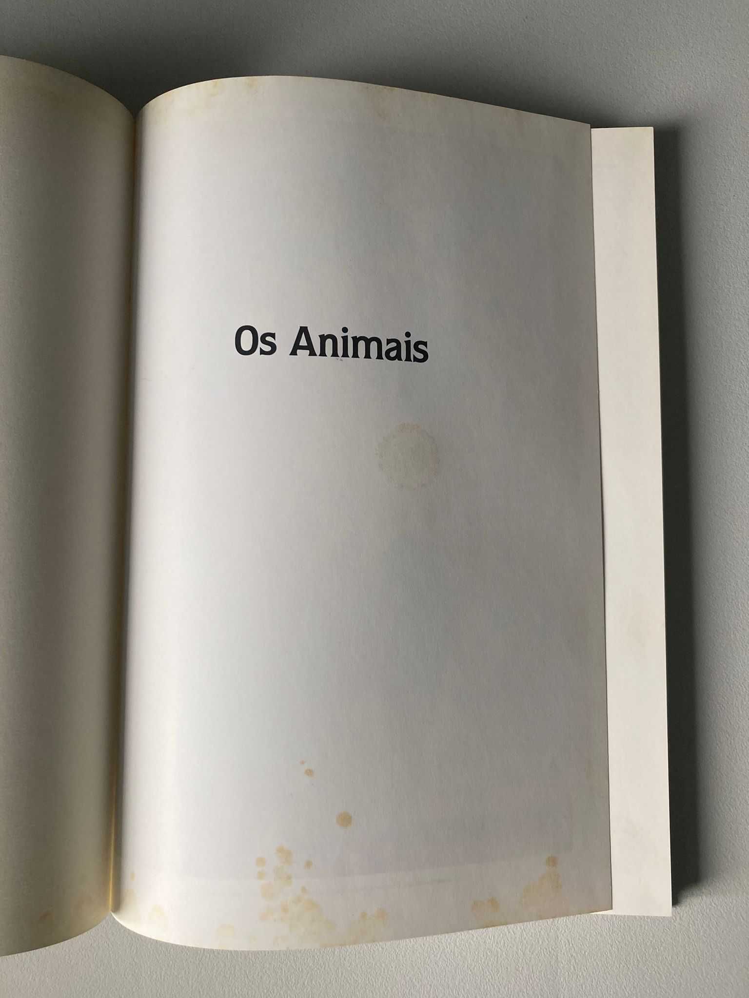 Os Animais: a maravilha da adaptação