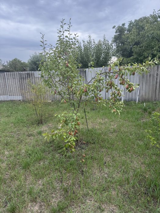 Продается дом в хорошем месте!