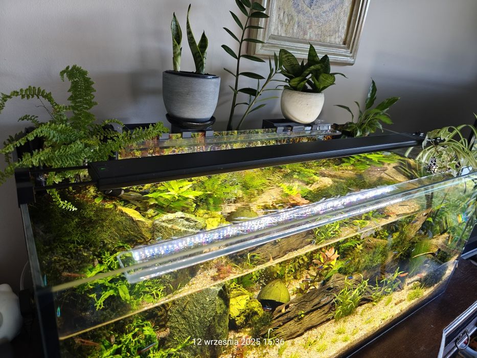 Lampa LED/belka LED Fluval Plant 3.0 46W