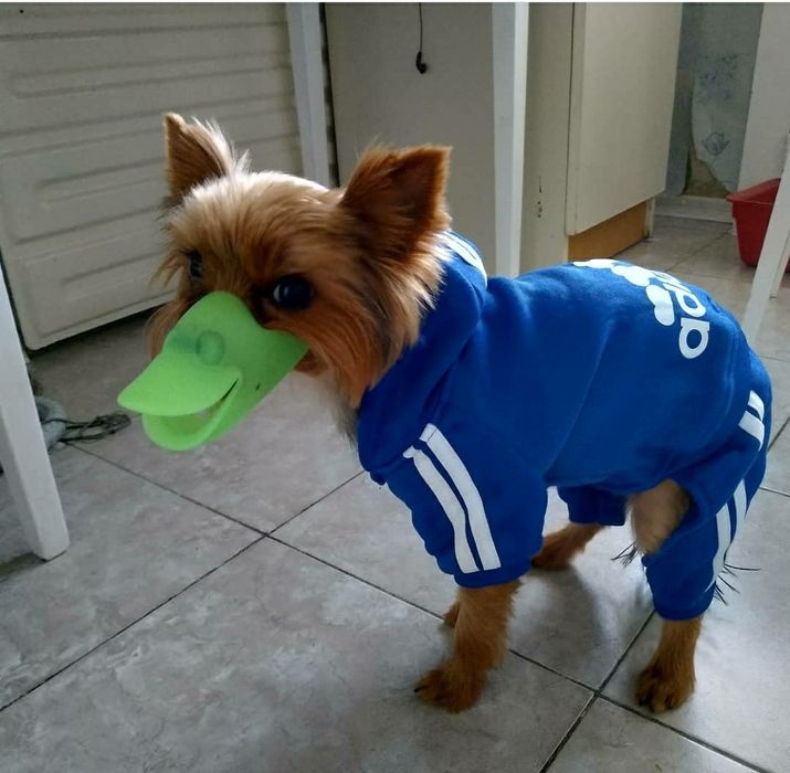 Намордник уточка для маленькой собачки светящийся