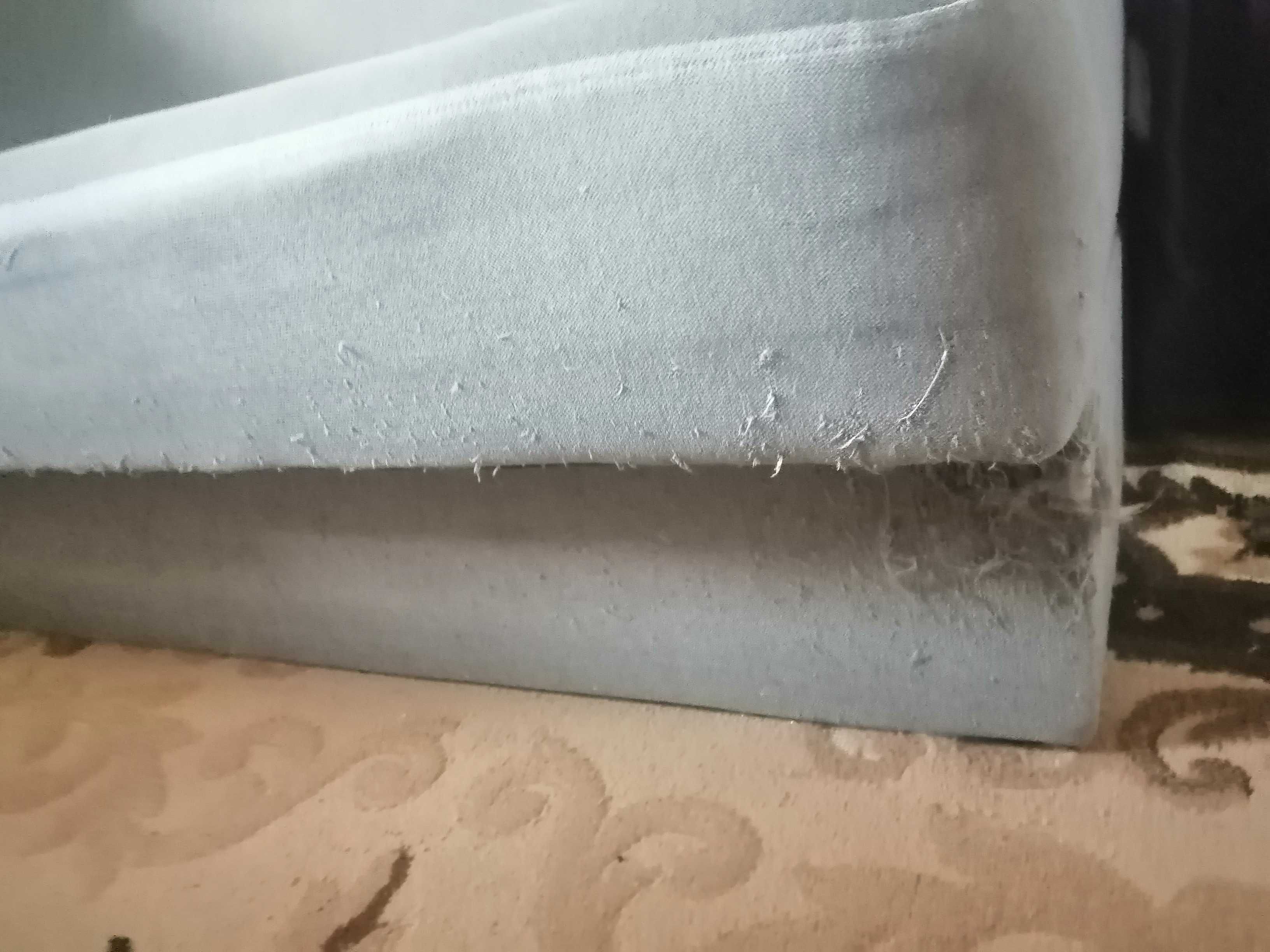 Sofa rozkładana  jest w dobrym stanie
